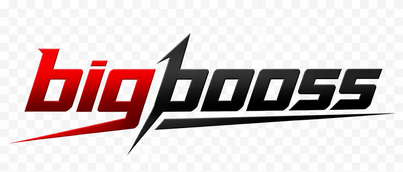 bigbooss logo